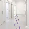 Floor stickers - Colorful feet - Floor games