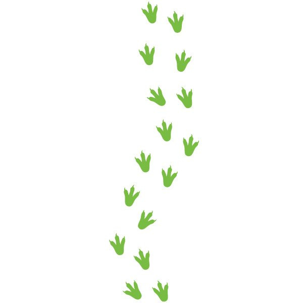 Stickers de sol - Empreintes de dinosaures - Jeux de sol