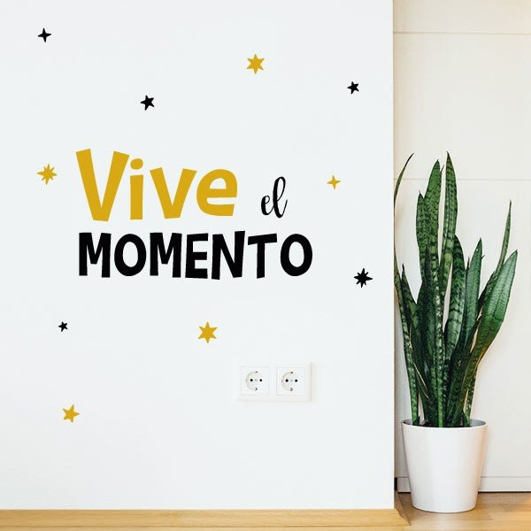 Viu el moment - Vinils decoratius amb frases