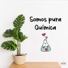 Som pura química - Vinils originals per decorar casa teva