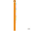 Children's Height Chart - Lion