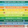 Décoration des escaliers scolaires - Phrases de respect pour la nature
