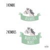 Cavall gris - Vinil infantil nom per a portes