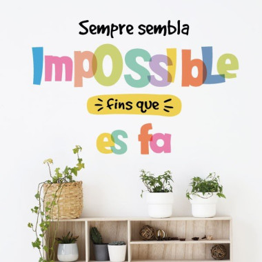 Sembla impossible - Vinils...