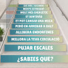 Adhesius per a escales en centres de salut – Beneficis de pujar escales